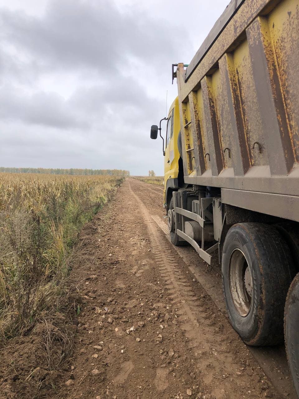 самосвал scania, вольво зерновоз полуприцеп, скания самосвал 8х4 р400, маз 5516 самосвал, полуприцеп самосвал tongyada