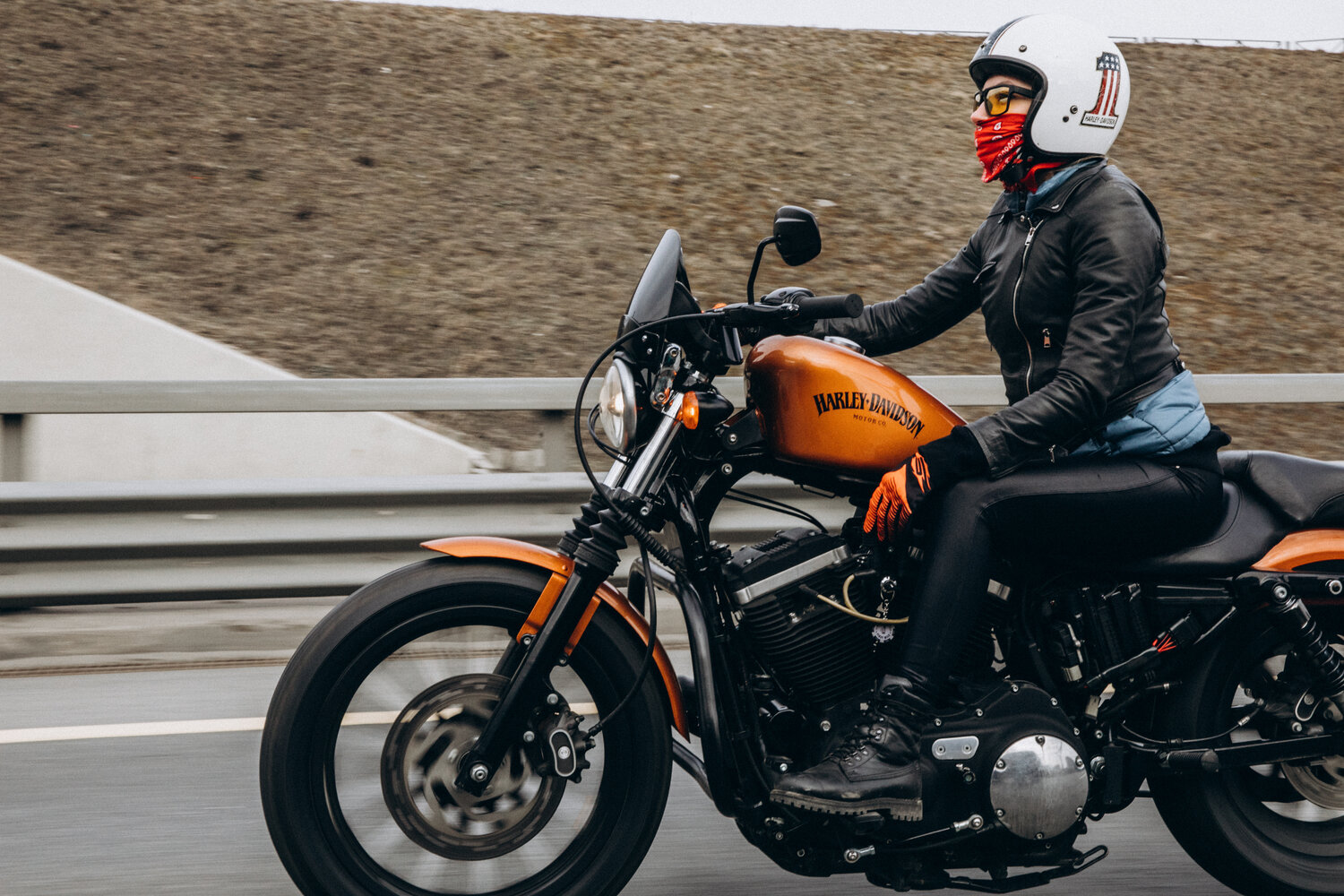 harley davidson iron 883 roadster, мотоцикл harley davidson street rod, harley davidson street rod, мотоцикл, harley davidson street rod 2020