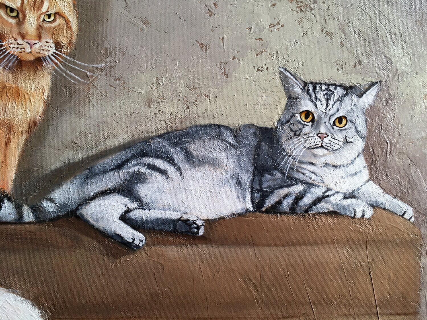 британская короткошёрстная кошка, картина кошки, кошки, кошка, картина кота