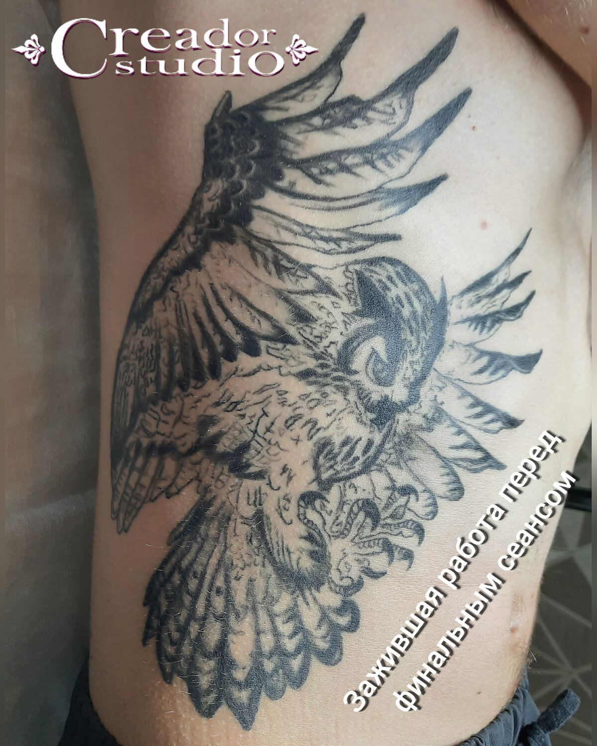 татуировка, грифон птица тату, tattoo, наколки, тату сова и орел