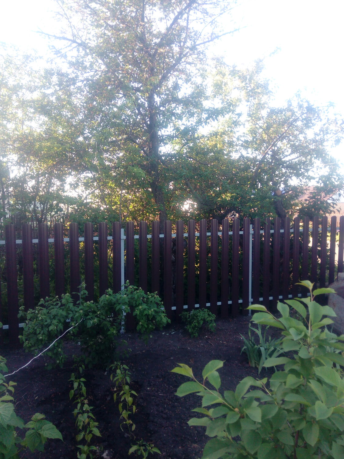 металлический штакетник забор, штакетник, металлический штакетник, штакетник для забора белгород, забор из профнастила штакетник