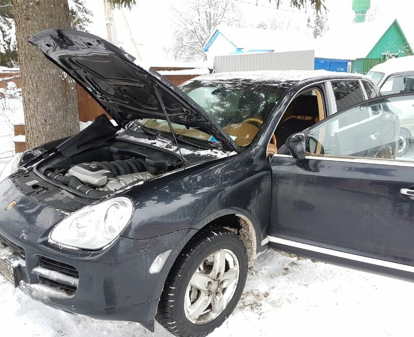 автомобиль, авто, любимые машины, машин, Nissan Almera Classic
