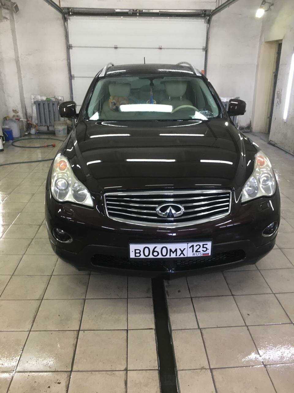 infiniti, автомобиль, авто, infiniti qx50, Infiniti EX