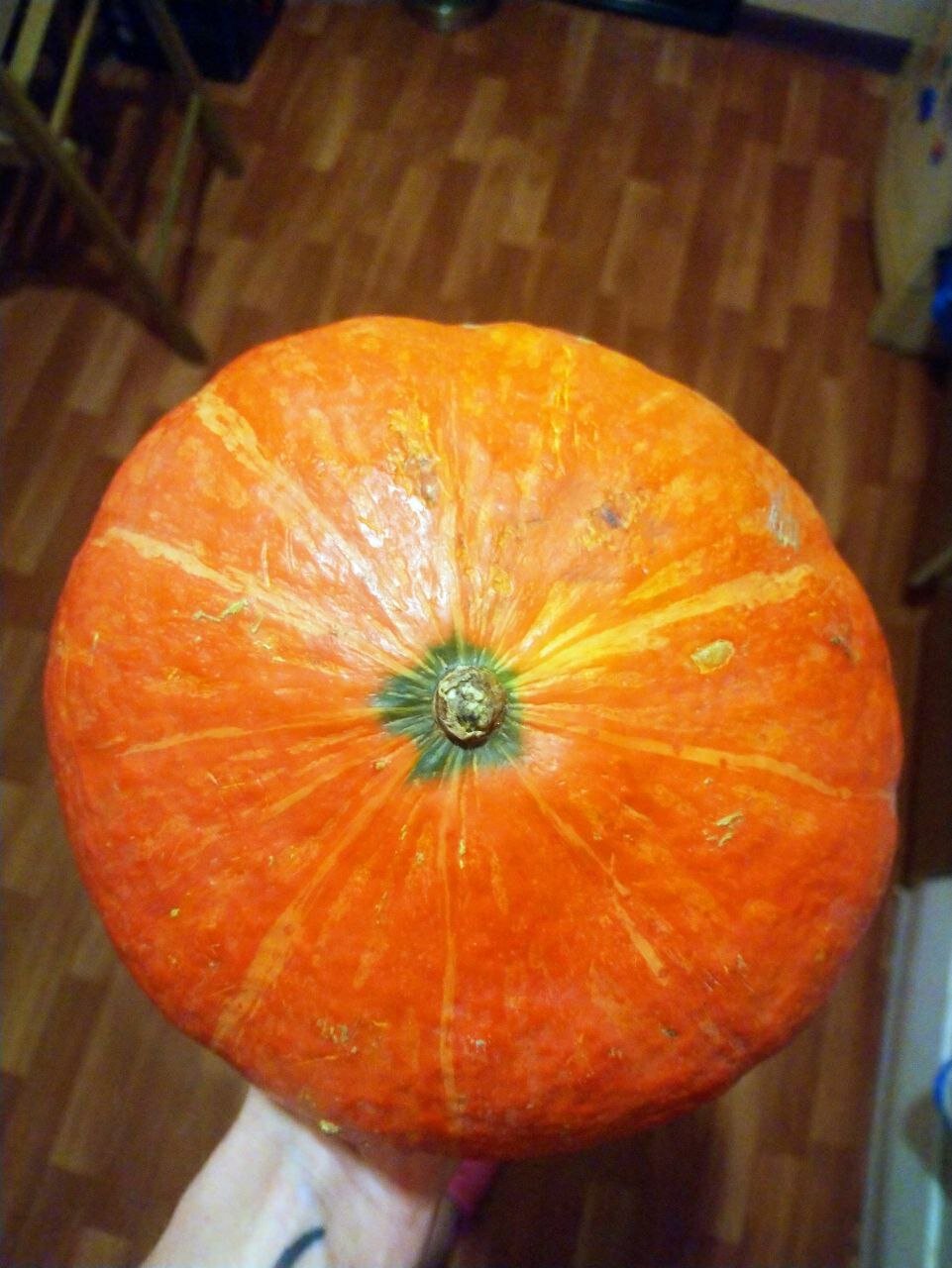 Услуги диетолога в Жуковском: 118 врачей-диетологов