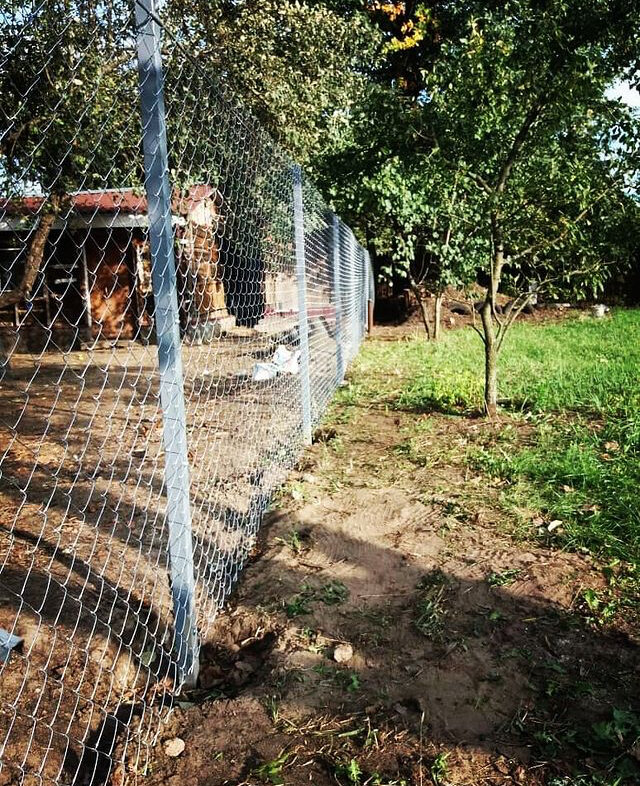 Строительство забора из сетки Рабица