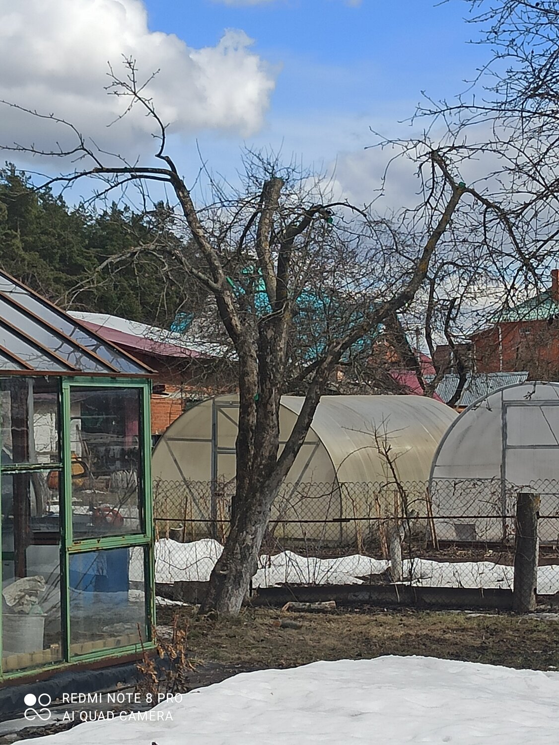 теплица, зимние теплицы, теплицы екатеринбург сад, теплицы в белгороде, дача