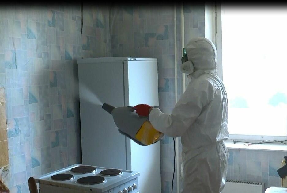 дезинфекция помещений, дезинсекция холодным туманом от тараканов, дезинсекция клопов туманом, холодный туман от клопов в твери, дезинфекторы для помещений