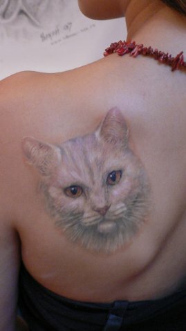 татуировка, тату кот на животе, tattoo, тату кошачьи, наколки