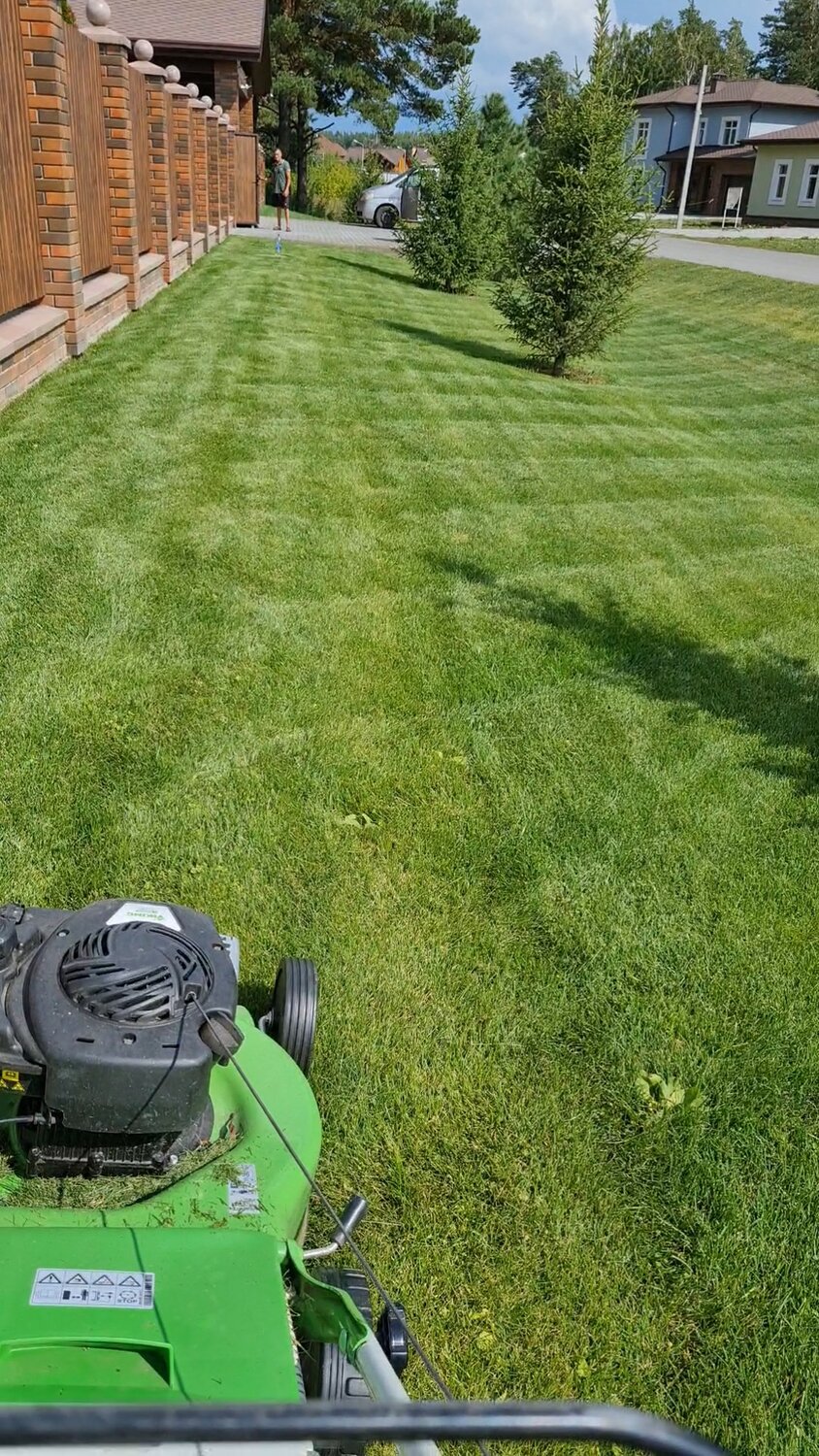 газонокосилка, газонокосилка makita dlm460z, газонокосилка кехлер 584, самоходная газонокосилка, газонокосилки