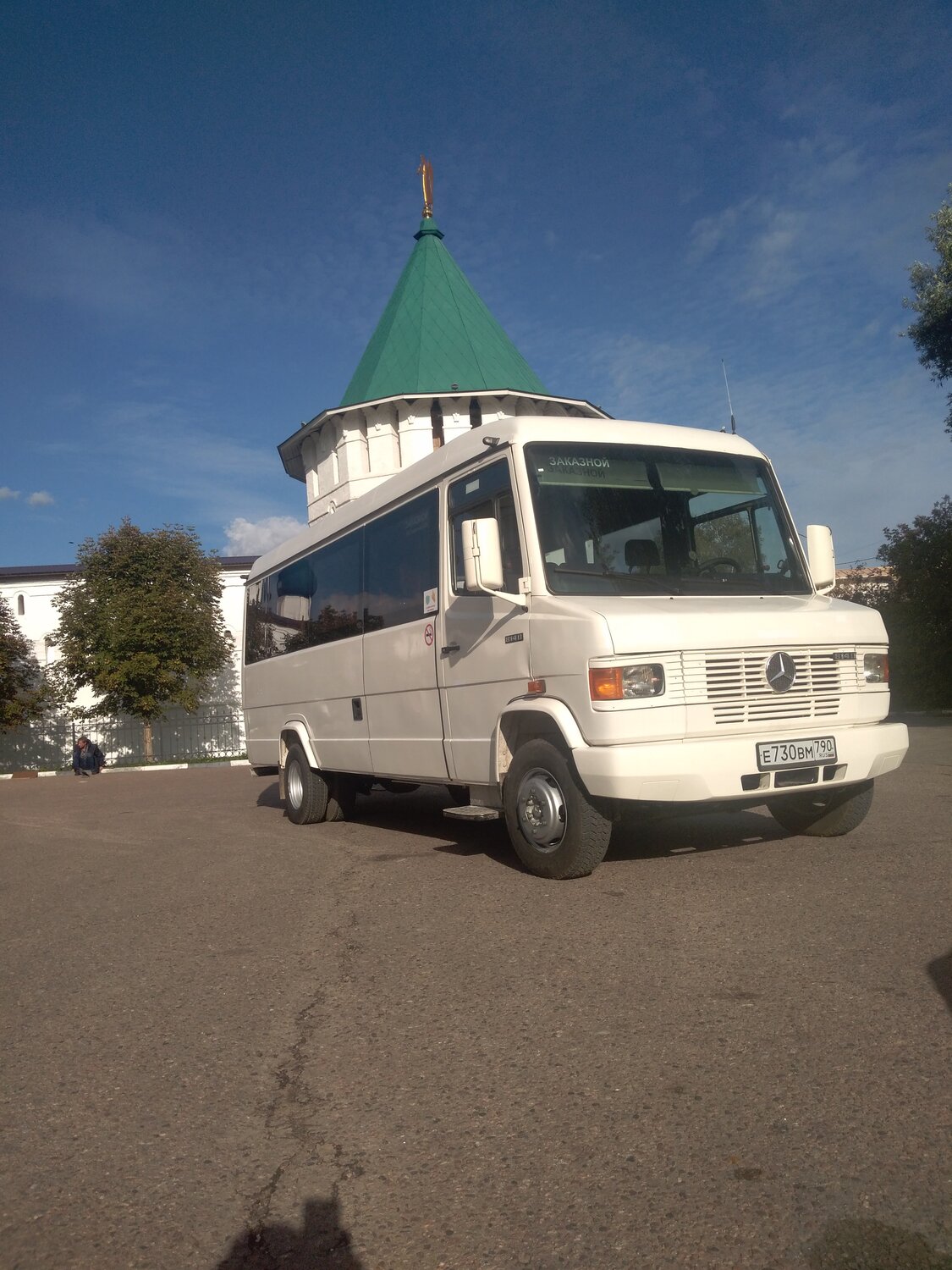 mercedes-benz, mercedes-benz vario, мерседес 1990 г микроавтобус, мерседес бенц 208d, мерседес бенц 210d