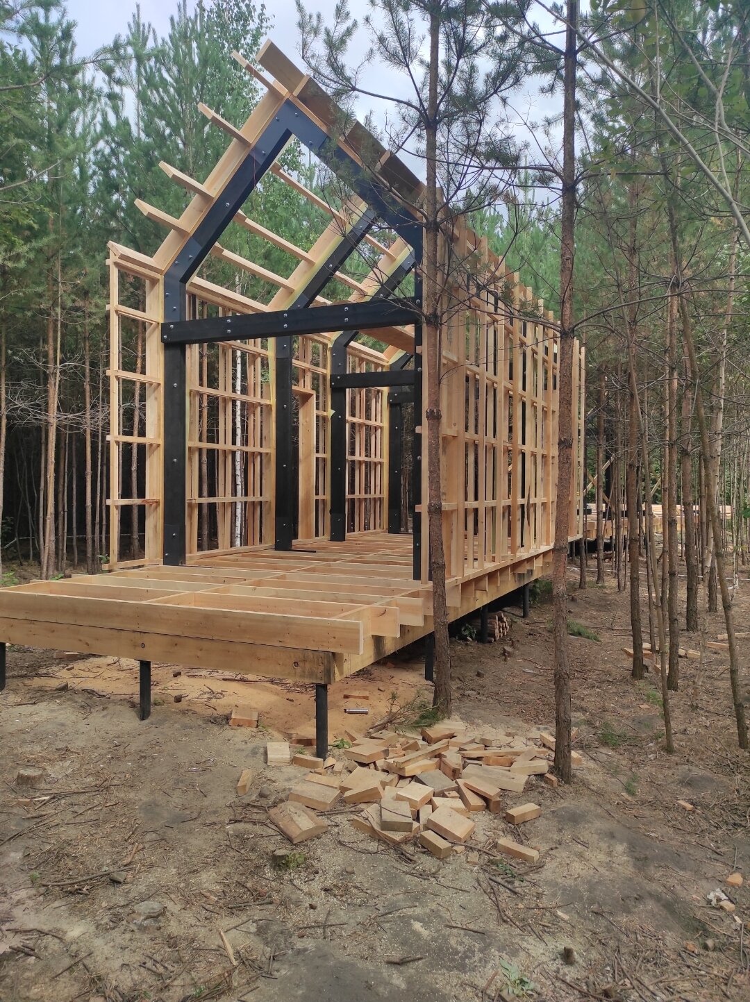 каркасный дом барнхаус, каркасный дом, каркас дома, каркасный домик, каркасный барнхаус