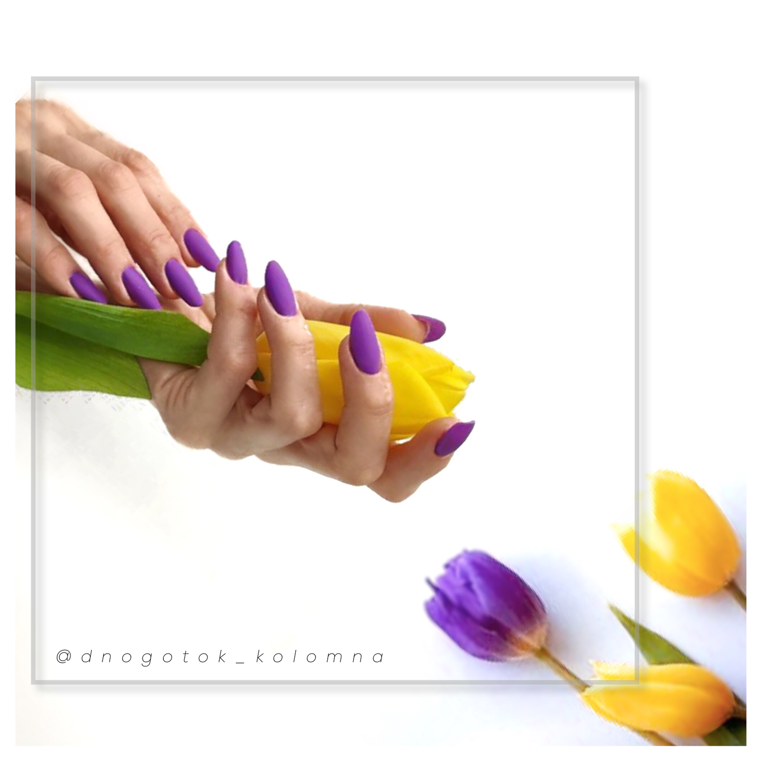 тюльпаны фон, тюльпаны баннер, открытка тюльпаны, букет тюльпанов, желтый тюльпан