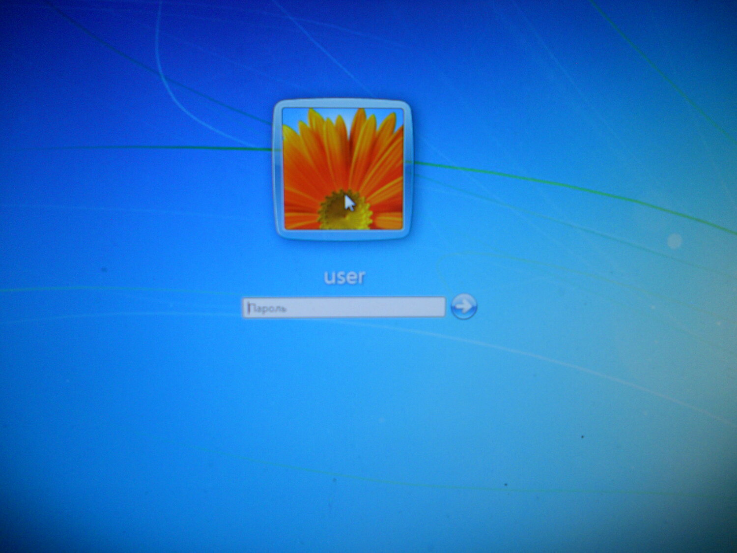 windows logon screen, экран, комп, пароль виндовс, экран ввода пароля windows 7