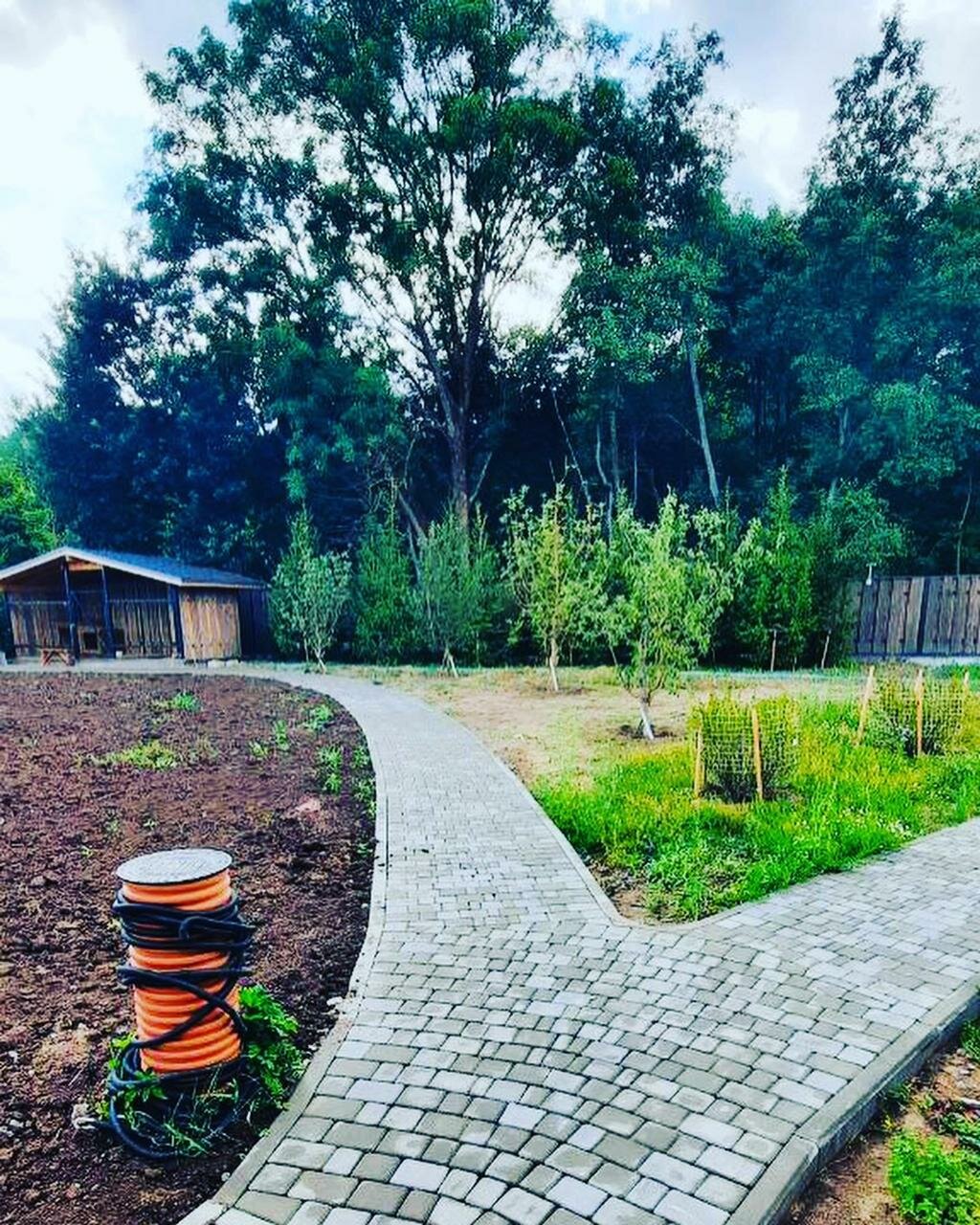 ландшафтный дизайн, дорожки, тротуарные дорожки на участке, дорожки экологичные, ландшафт
