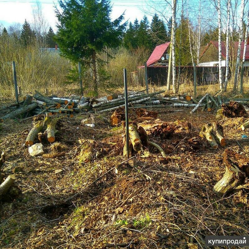 расчистка участков, земельный участок, снт горелый лес, расчистка участка, снт лесной екатеринбург