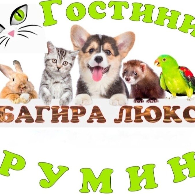 Зоогостиница Багира Люкс