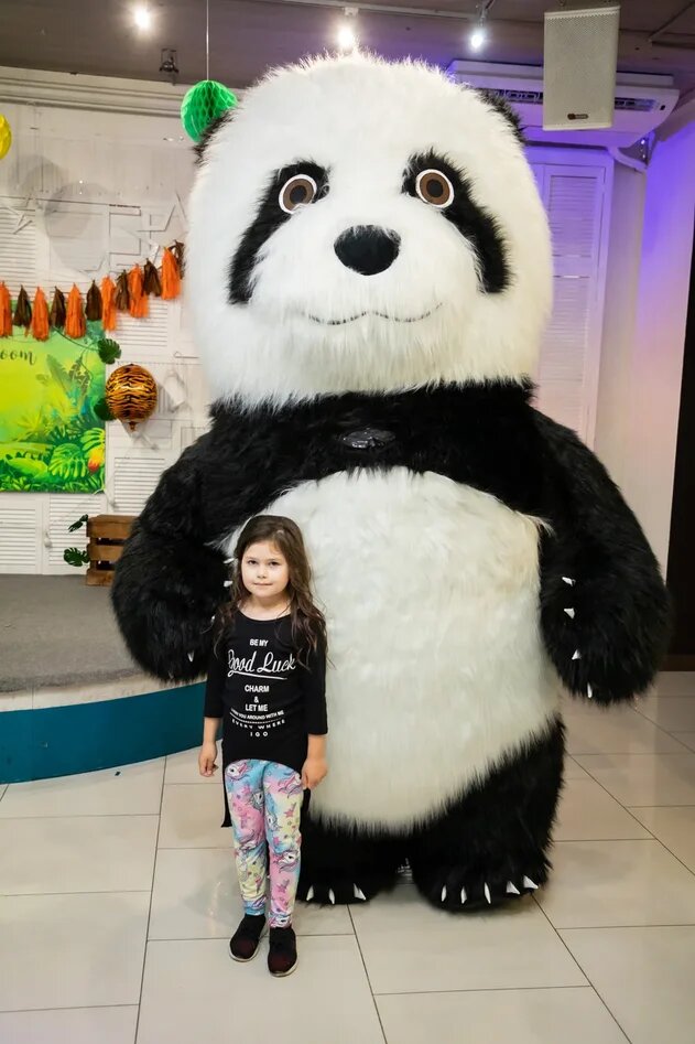 панда маскот, панда, a panda, медведь потап, фотографии панды