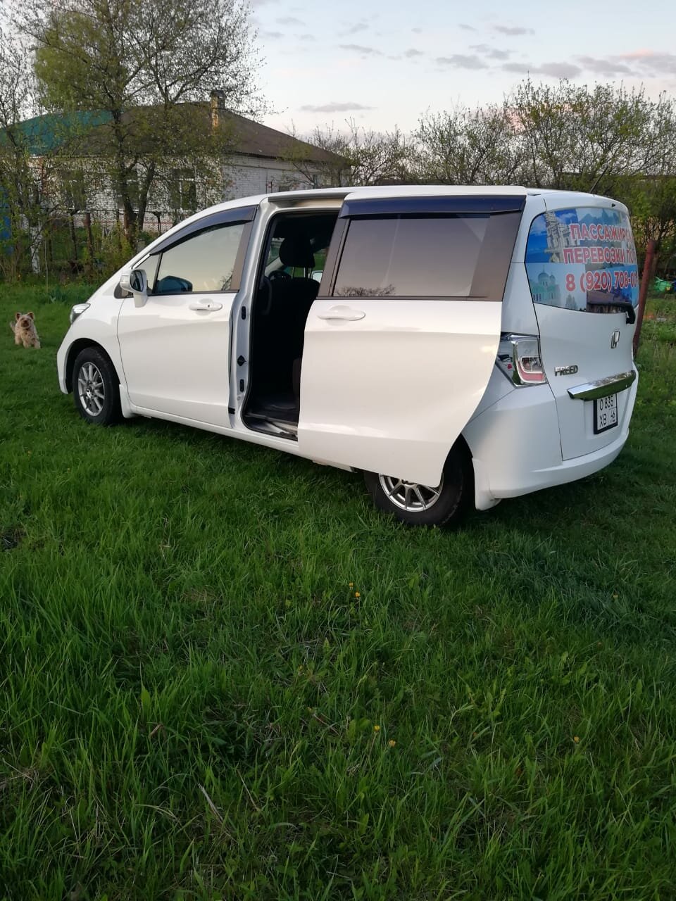 honda freed, honda, хонда фрид 2012, хонда фрид 2011, хонда фрид 2013