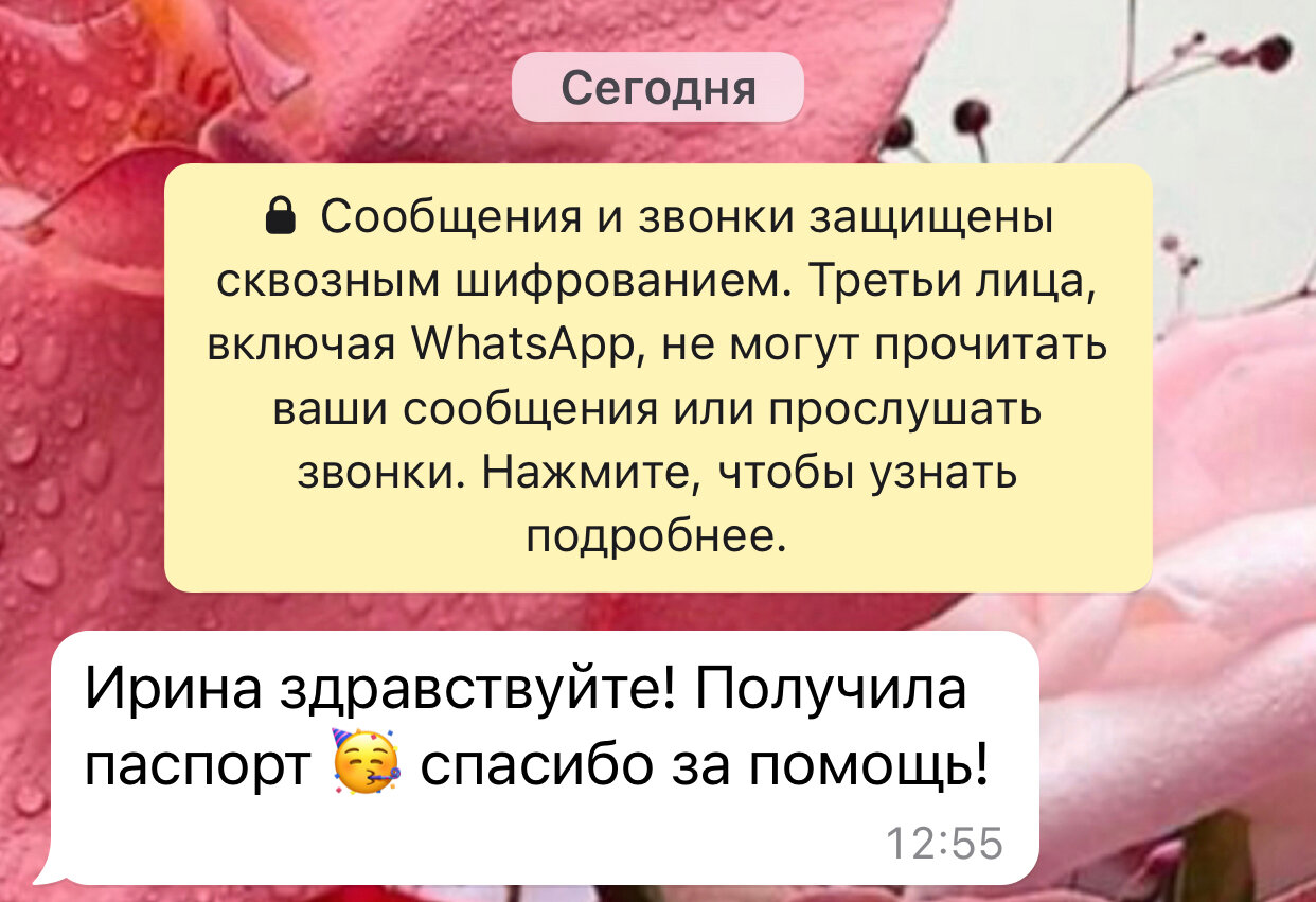пришло сообщение, скриншот, переписки, сообщение, мошенники