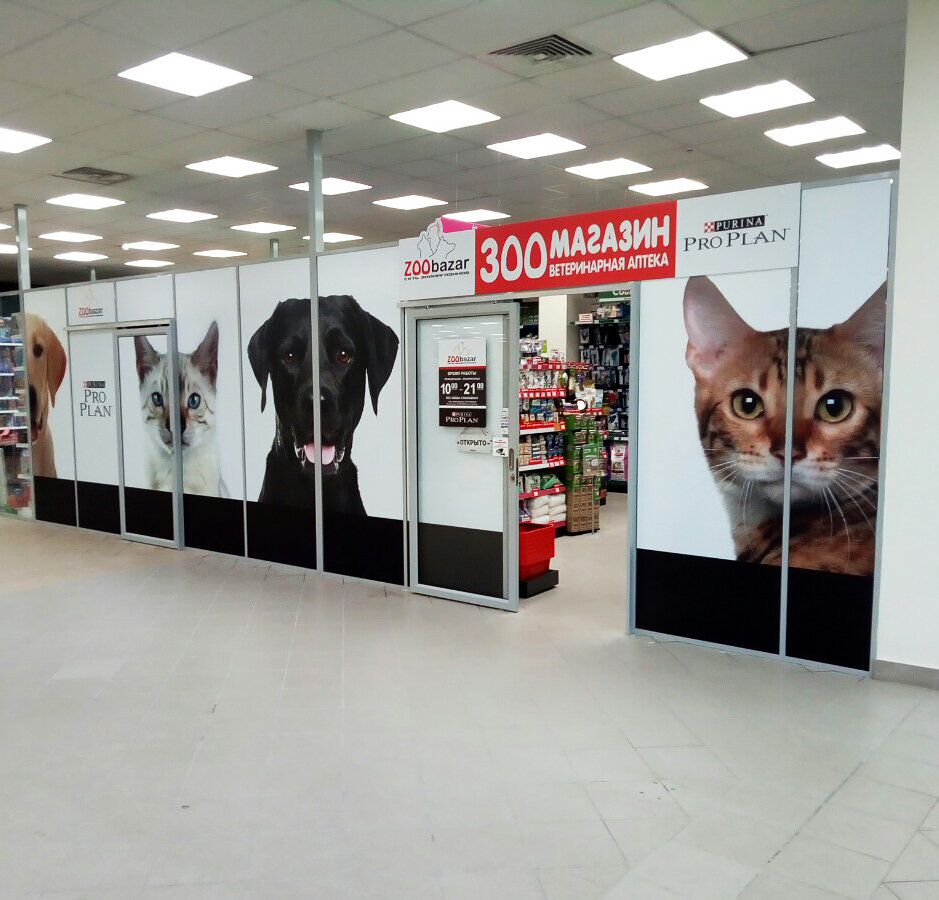 оклейка витрин, кот, зообазар, зоогалерея магазин, pet store