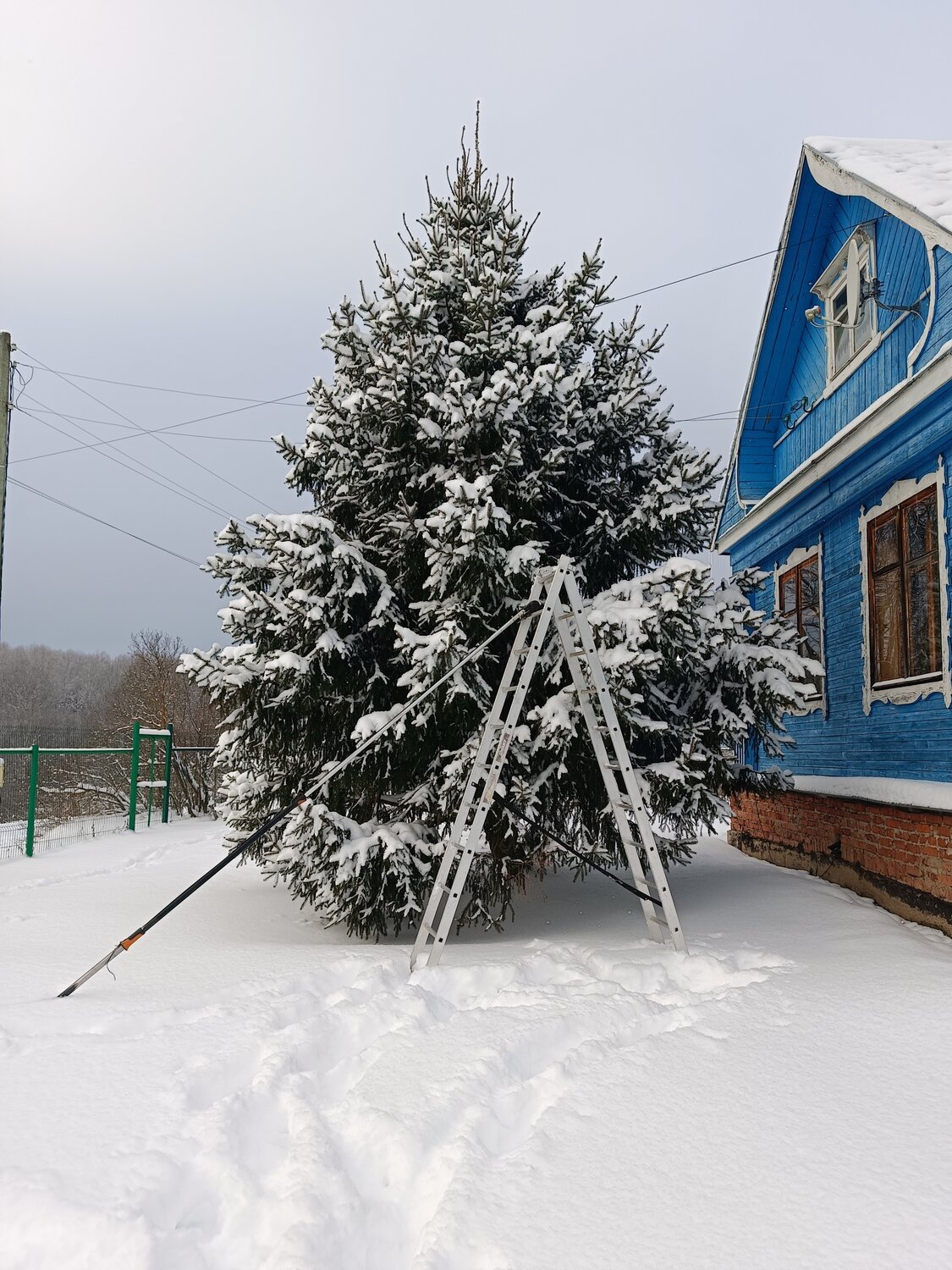 зимнее, снег, ель, лес зимний, домик лесника зима
