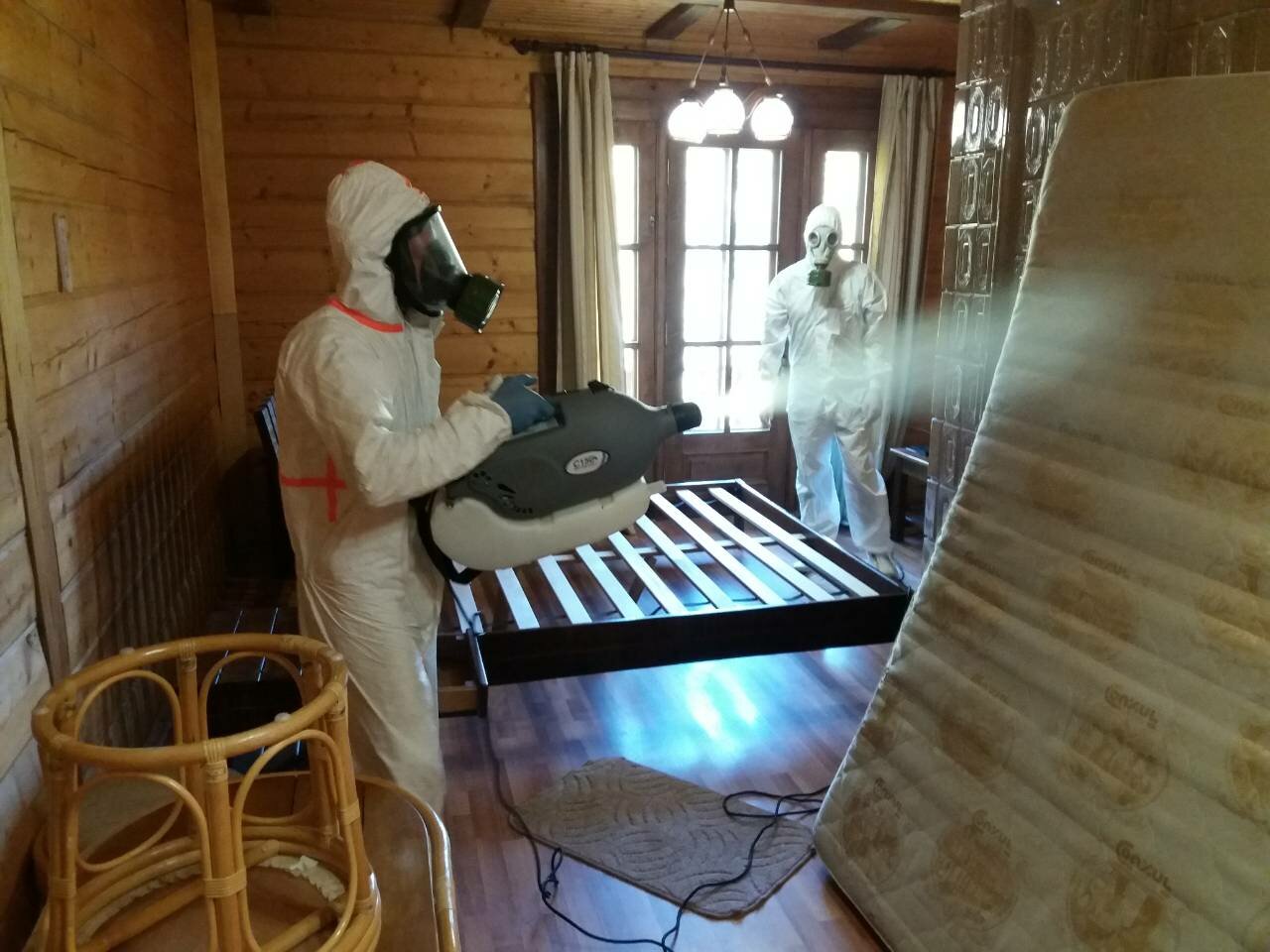 дезинфекция клопов великий новгород, дезинфекция от клопов, дезинфекция клопов зеленоград, дезинфекция помещений, уничтожение клопов