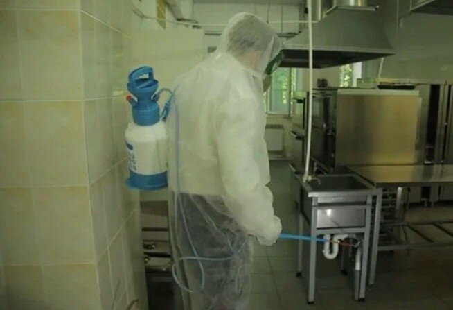дезинфекция, дезинфекция дезинсекция дератизация, санитарная обработка, дезинфекция и дезинсекция, дезинфекция помещений