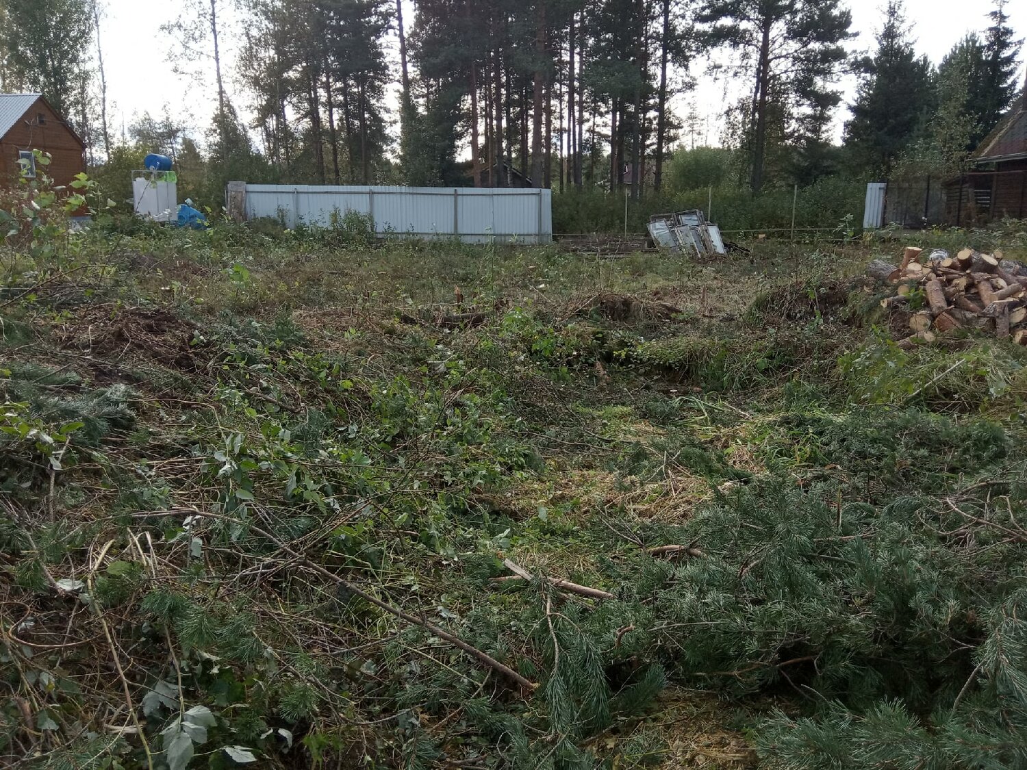 участок, расчистка участка, земельный участок, заросший участок, расчистка дачного участка