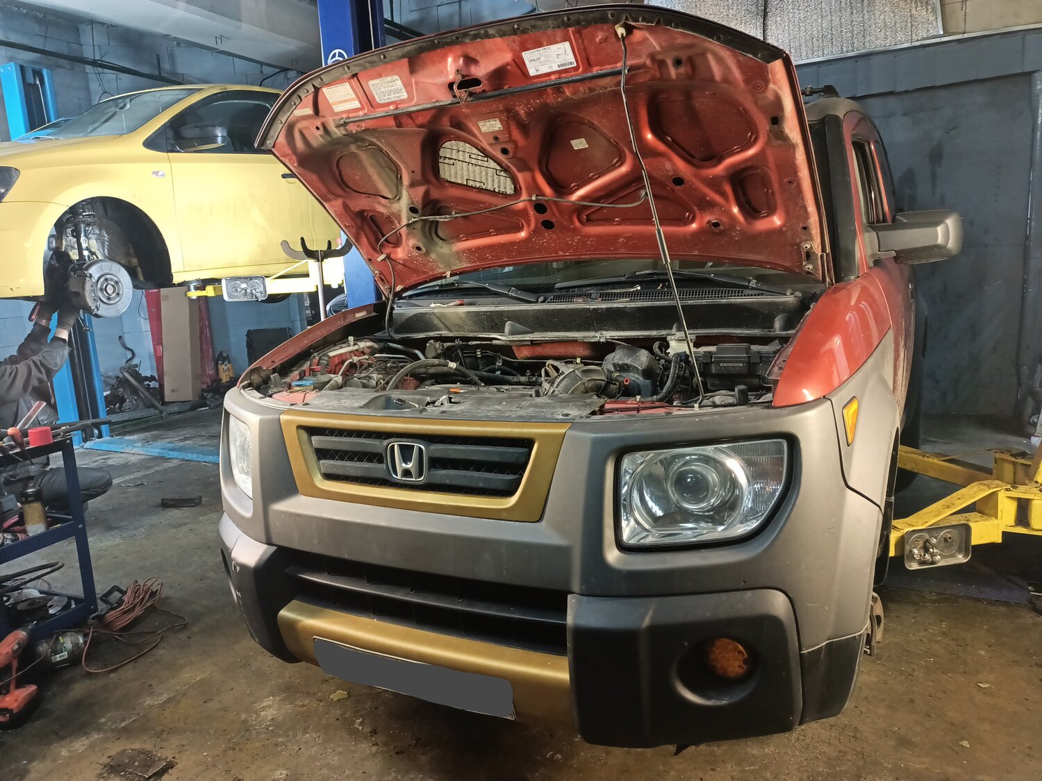 honda element, honda element 2003, honda element 2004, бу авто, Honda Element I