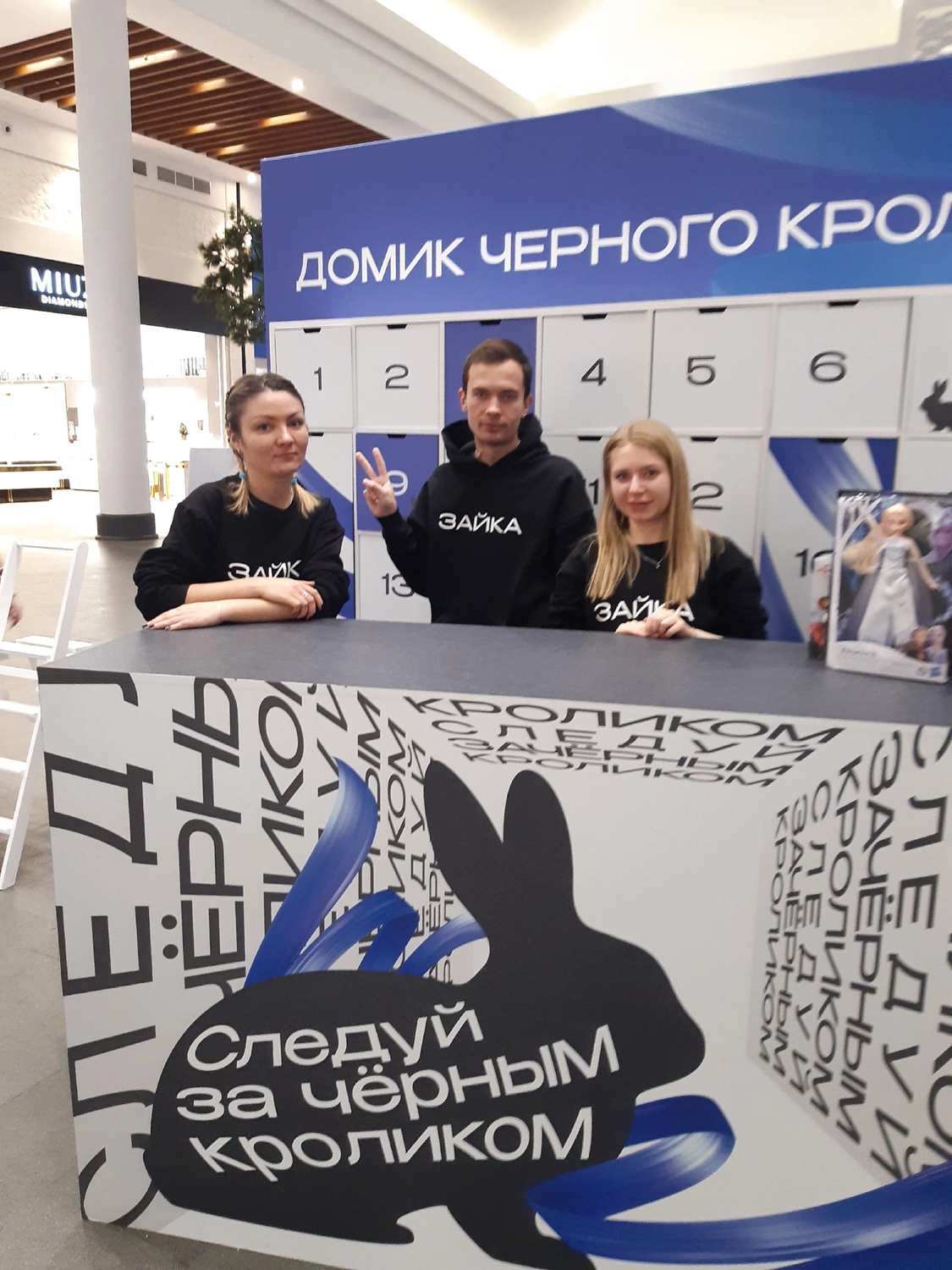 черный кролик, следуй за черным кроликом, rabbit hole квесты спб, кот, михаил стерлинг