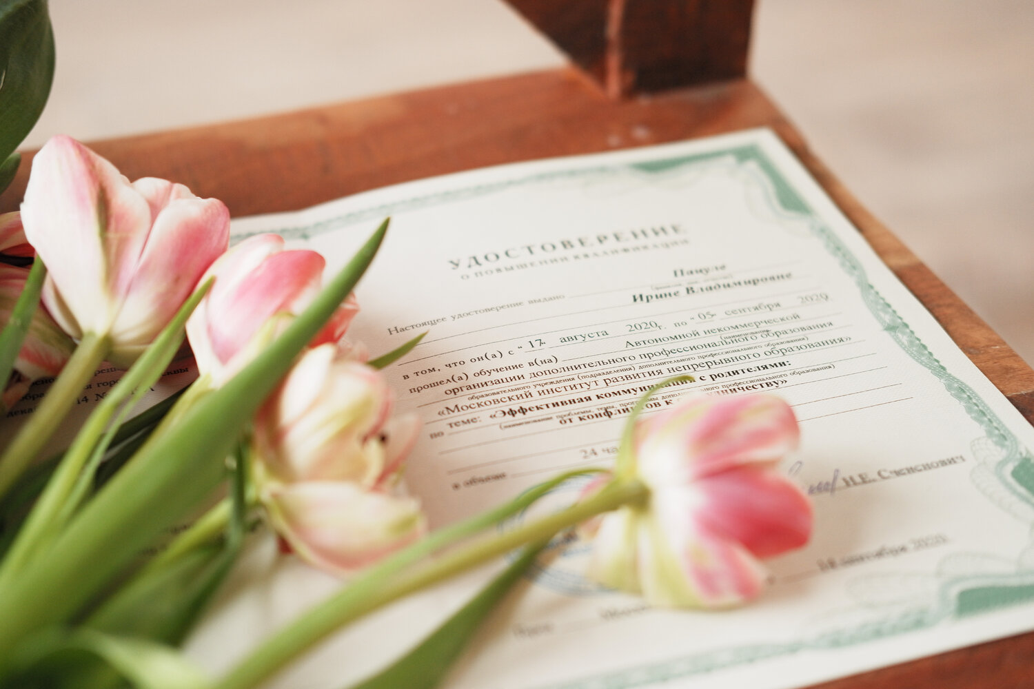 цветы, розовый тюльпан, цветочек, flower, розовые тюльпаны эстетика