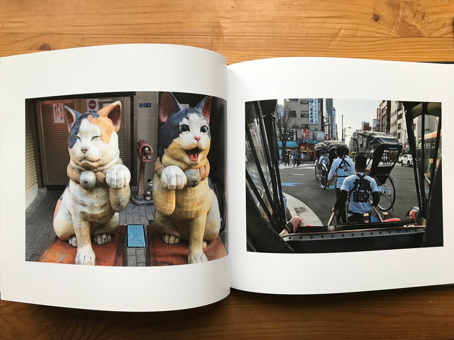 иллюстрация, chepolinko - жизнь в японии, картина, холст, кот док