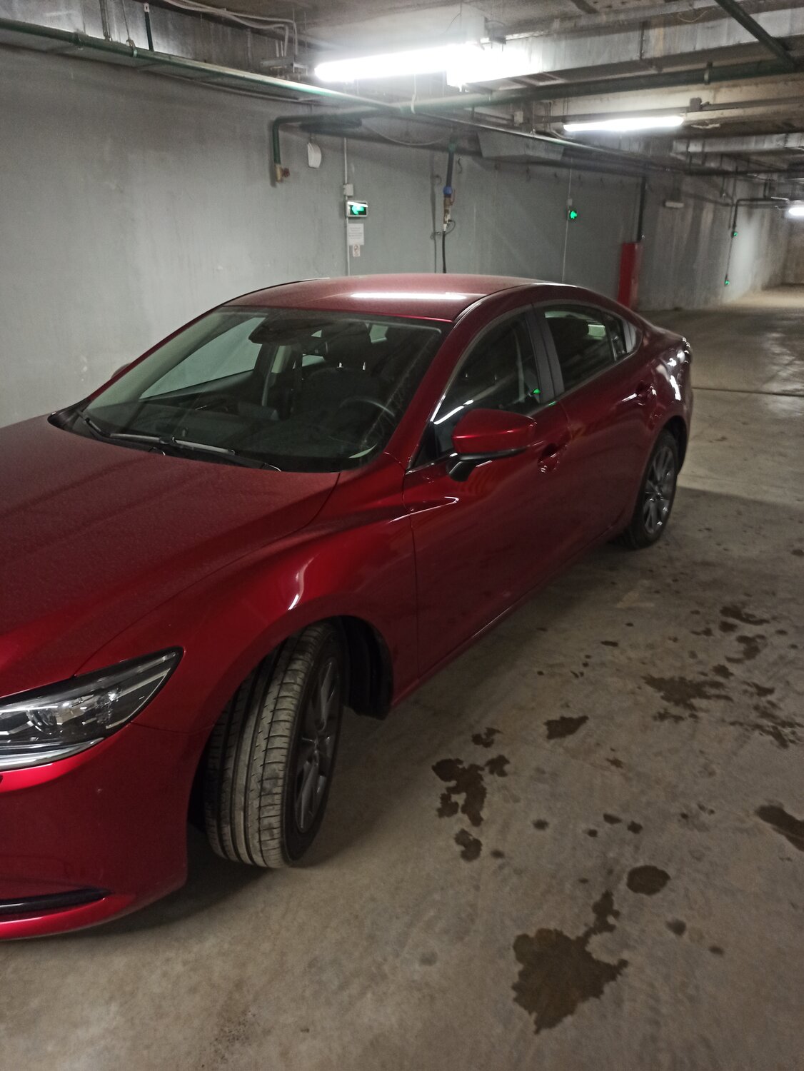мазда 6 красная 2017, mazda6, авто, мазда 6 soul red, mazda 6 soul red