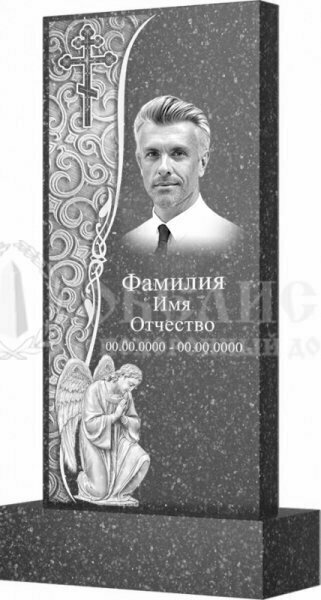 памятник на могилу, гранитный памятник, медицинская змейка из габро на памятник, памятник из гранита балтика на двоих, портрет на памятник