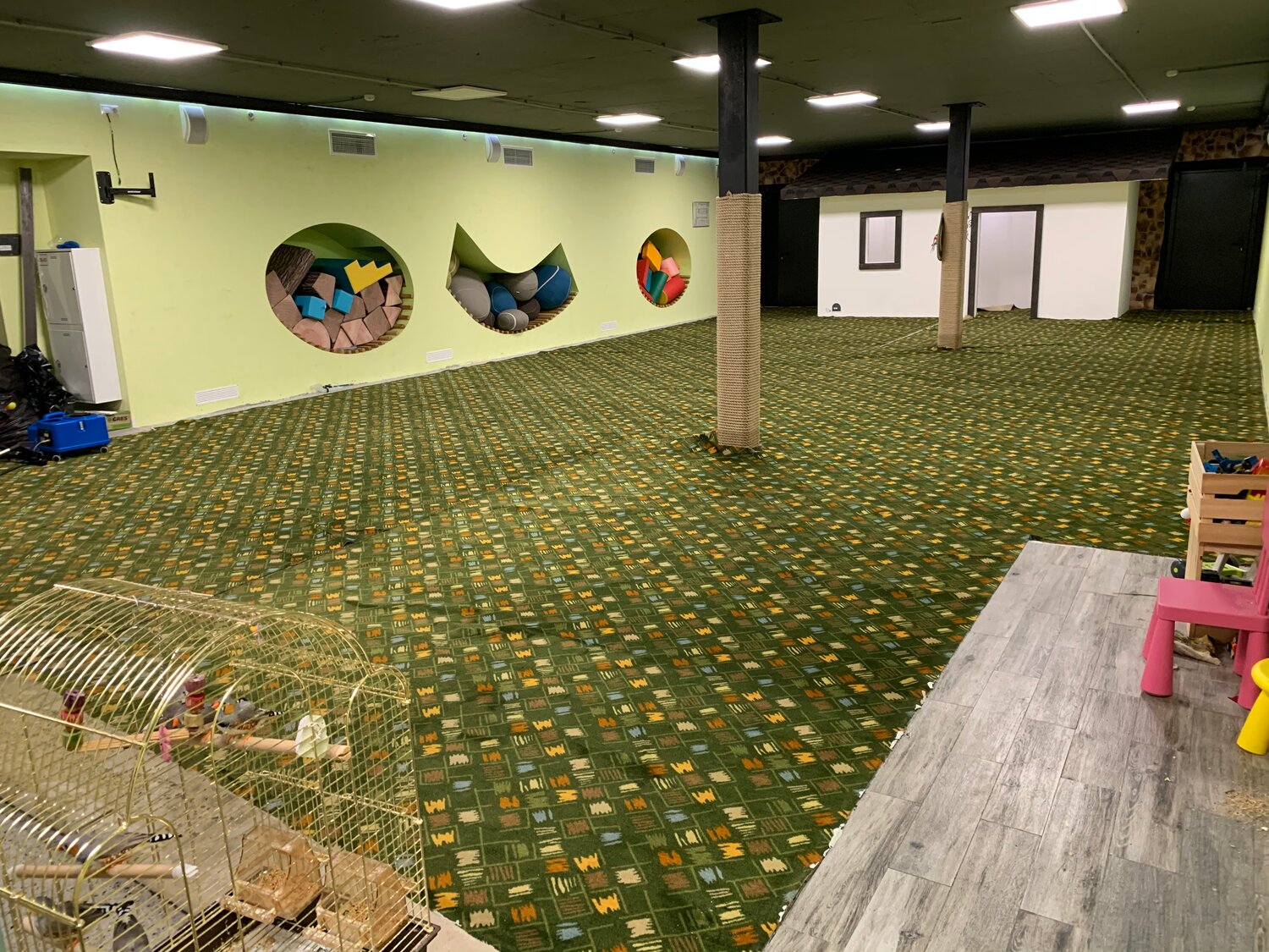 напольные покрытия, staff floor ковролин, пол, интерьер, ковровая плитка