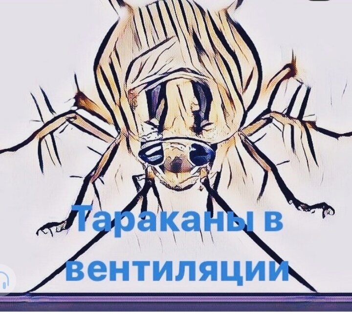 иллюстрация, рисунок, таракан, эскизы, паук контур