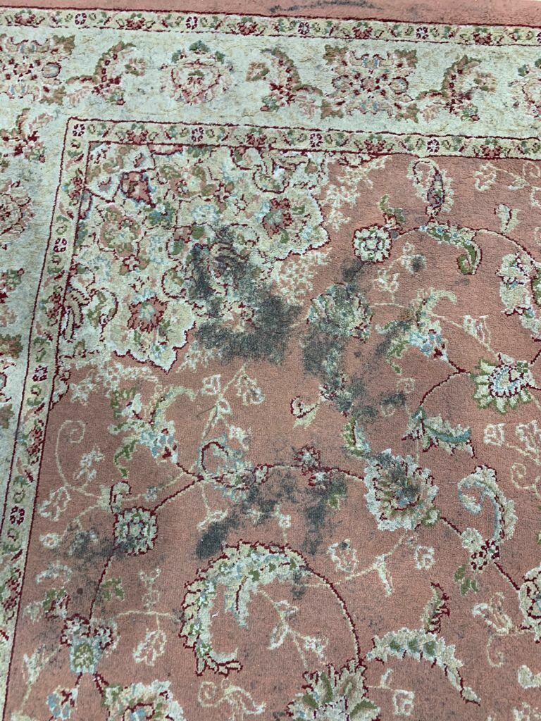 ковра, ковер ковра, ковер floare-carpet antique шерстяной флоаре 267-3378 (молдавия), восточный ковёр, персидский ковёр