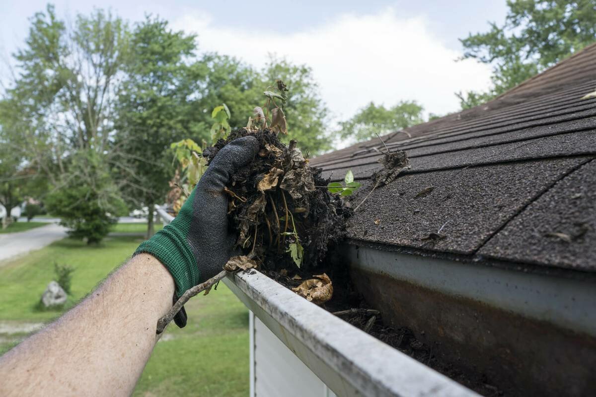 Close-up of clean gutters after expert cleaning in Gold Coast area
