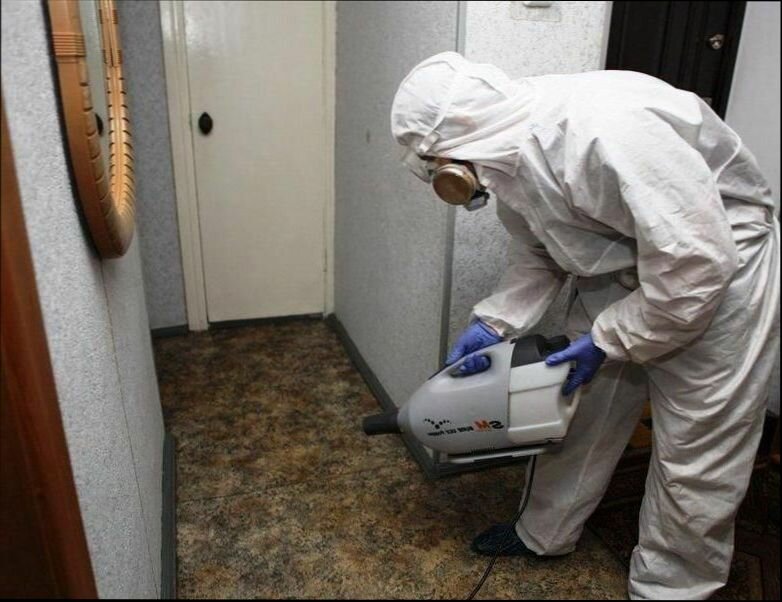 дезинфекция от клопов в королеве, дезинсекция, дезинсекция от тараканов и клопов, дезинфекция ярославль от клопов, дезинфекция