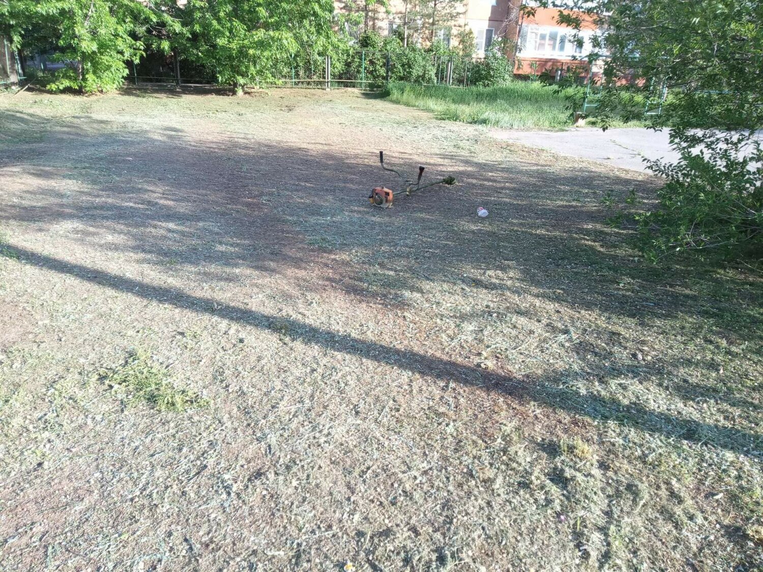 участок, улица, площадка, дорог, во дворе
