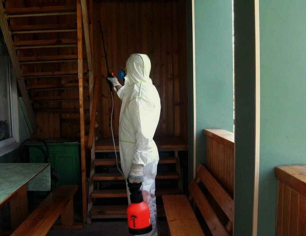 уничтожение клопов, дезинфекция подъездов, дезинфекция помещений, дезинфекция дезинсекция дератизация, уничтожение клопов в голицыно