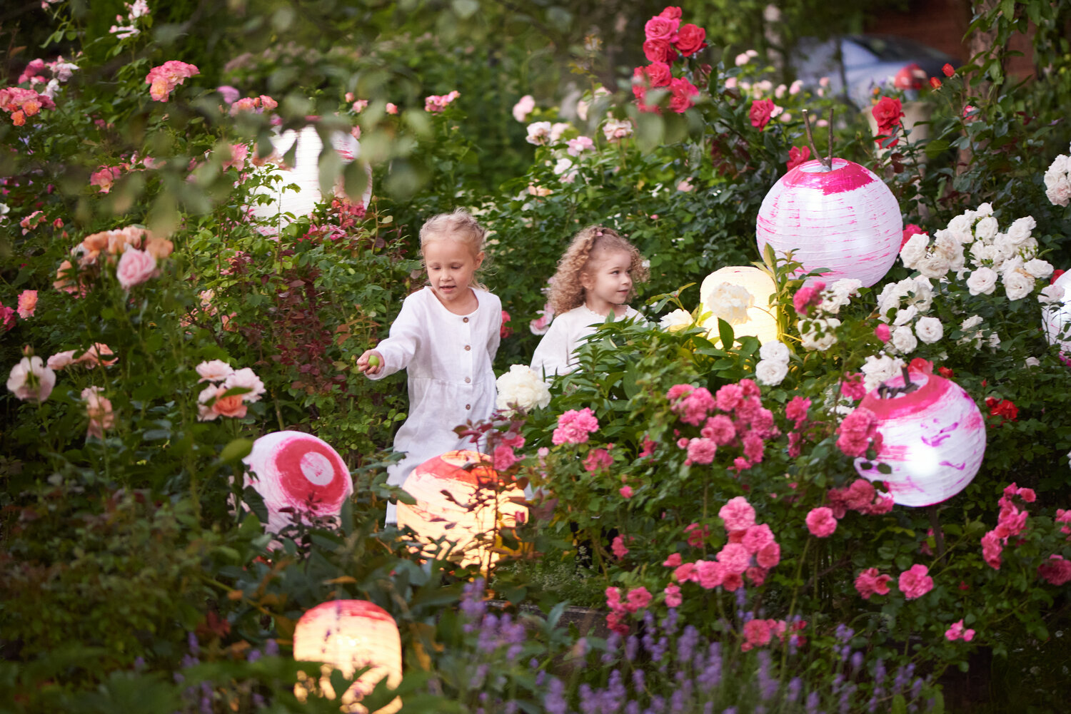 девочка с розами в саду, цветы, цветы растения, рози девочка, девушка с розами