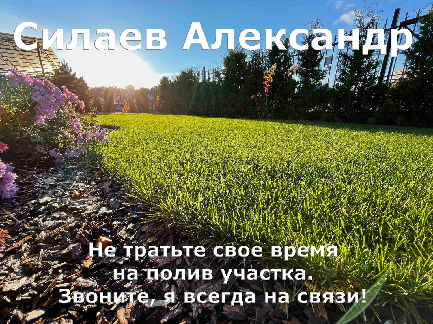 трава поле, трава природа, поле лето, природа поле, зеленое поле