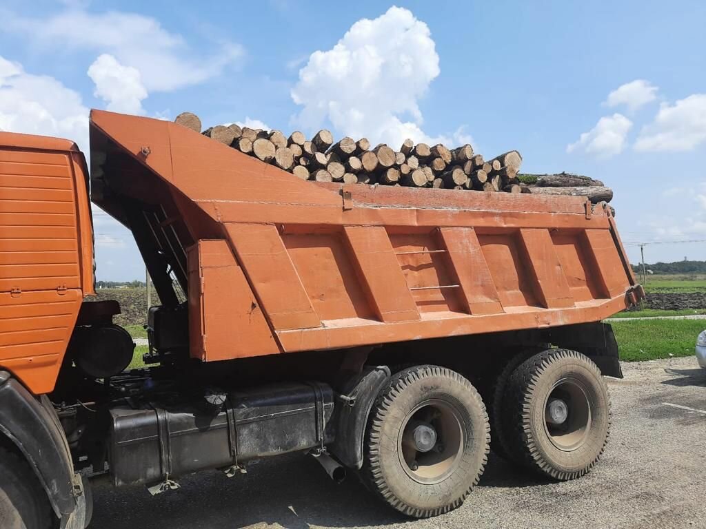 камаз 65115 15т самосвал, камаз 55111 15 самосвал, самосвал камаз, камаз, камаз 55111 зерновоз