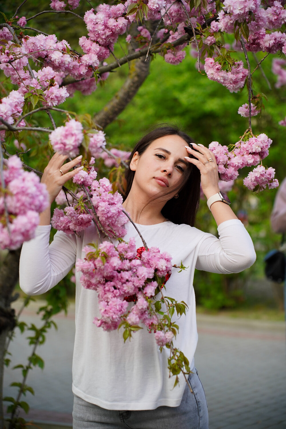 девушка, цветущая сакура, цветущая вишня, женщина, дерево сакуры