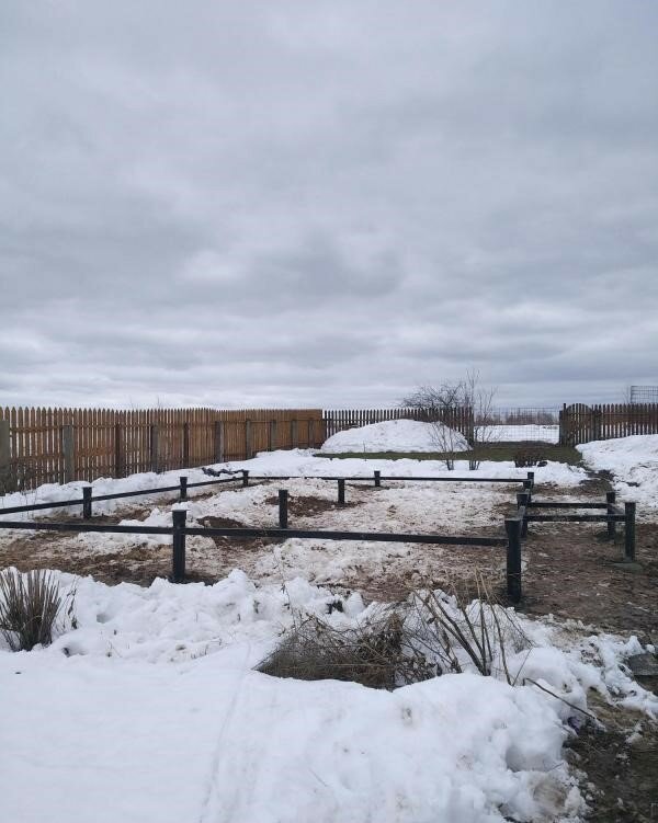 Яндекс услуги строительство домов - 80 фото