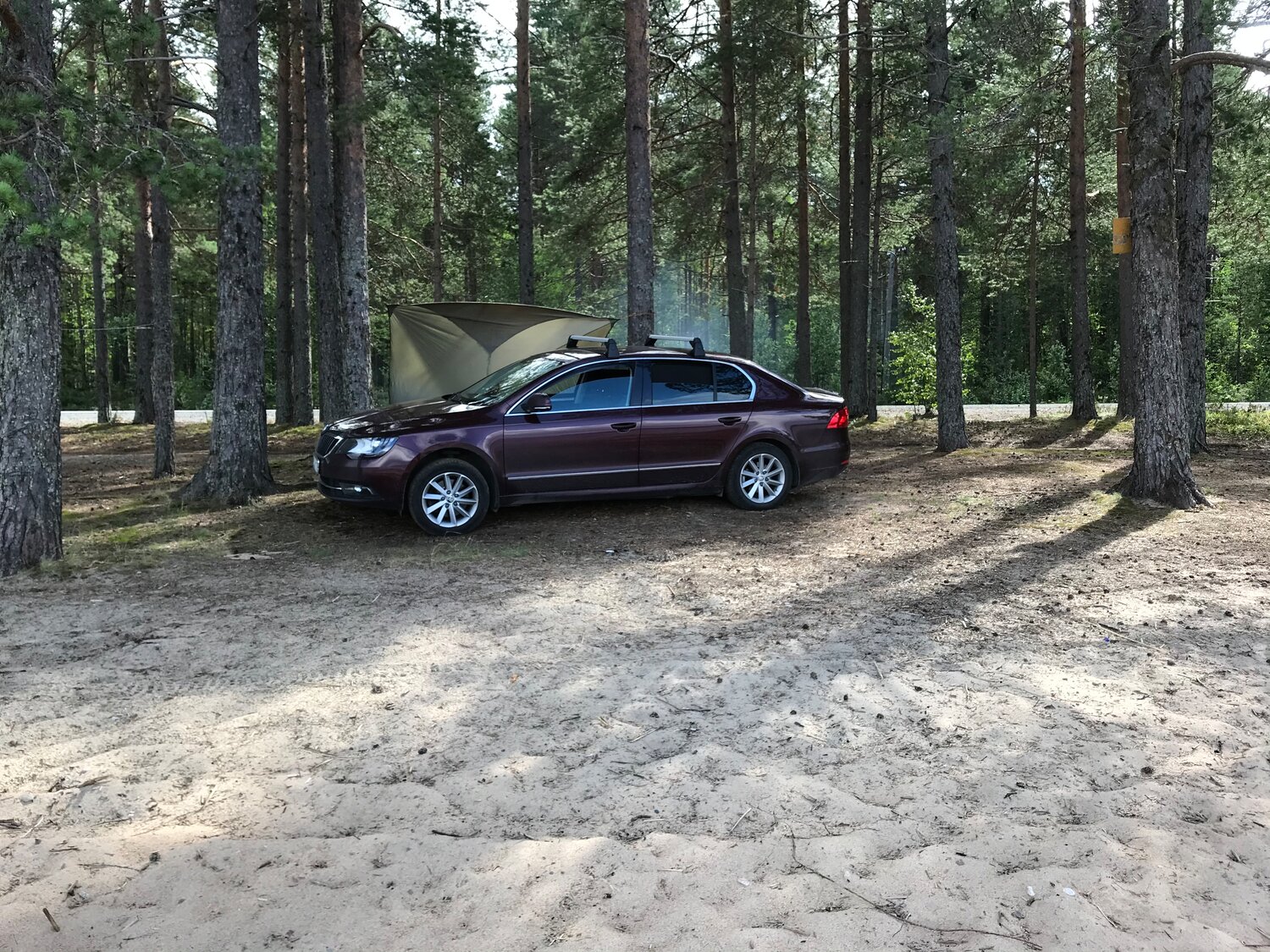 авто, автомобиль, bmw 7 в лесу, ауди в лесу летом, тойота зима