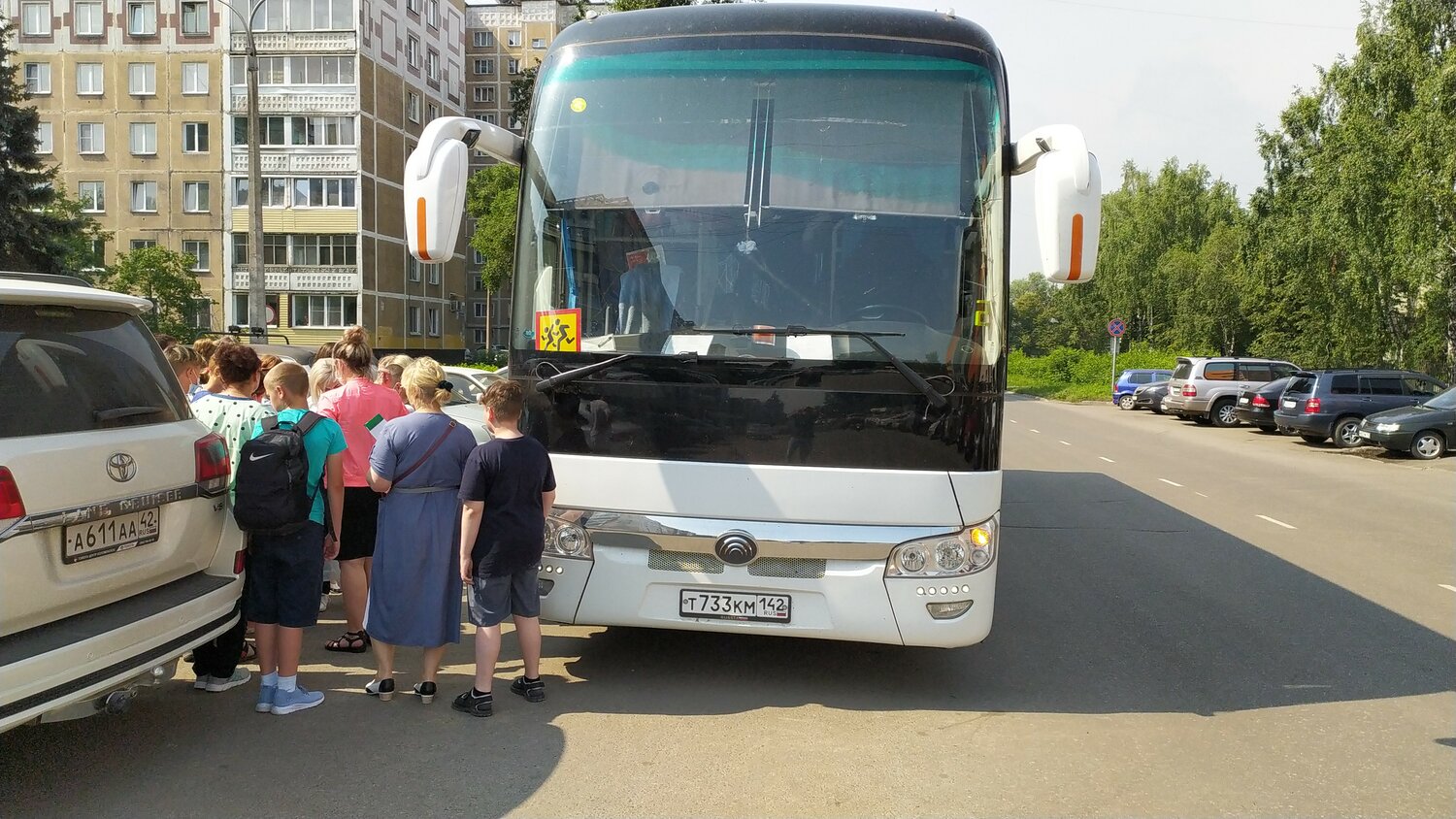 автобус, автобус 338, транспорт, городской транспорт, общественный транспорт