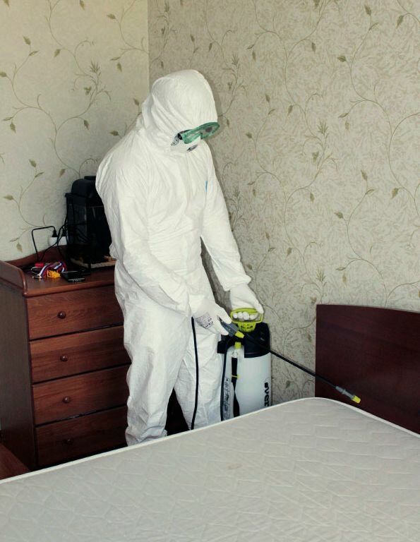 дезинсекция клопов туманом, уничтожение клопов, дезинсекция от клопов в москве, дезинфекция дезинсекция дератизация, уничтожение клопов пермь