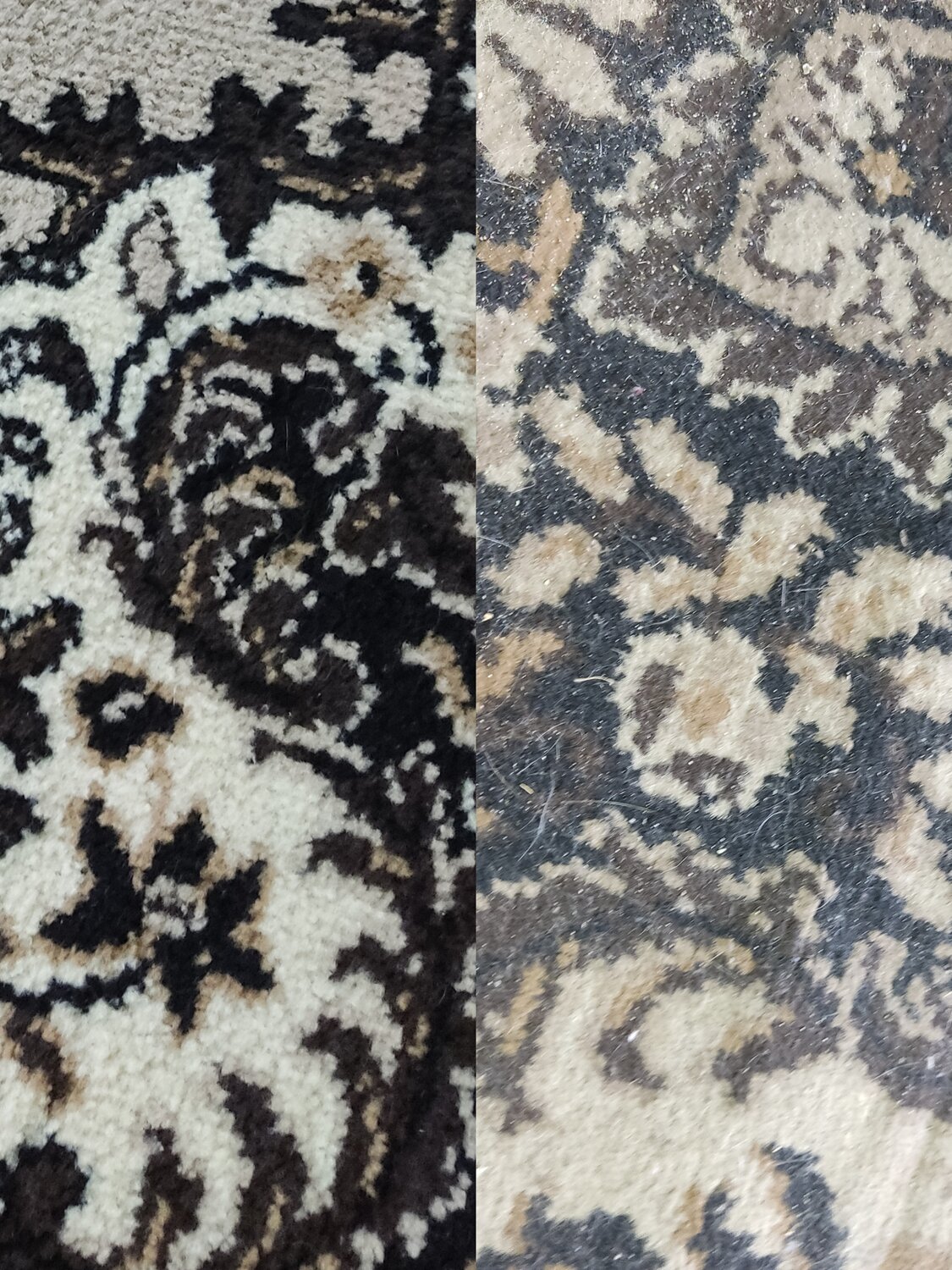 ворс ковра, дорожка ковровая, ковер, шерстяные ковры, ткань